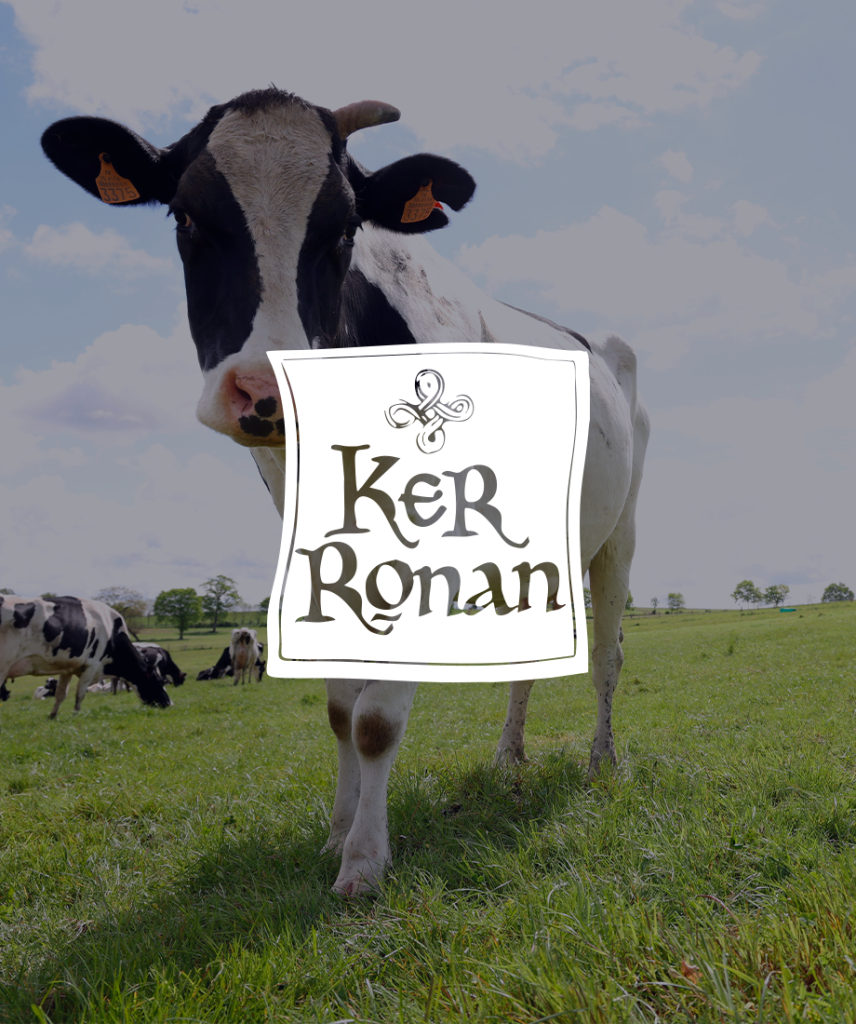 vignette ker ronan
