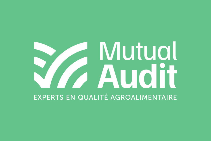 logo mutual audit - identité de marque