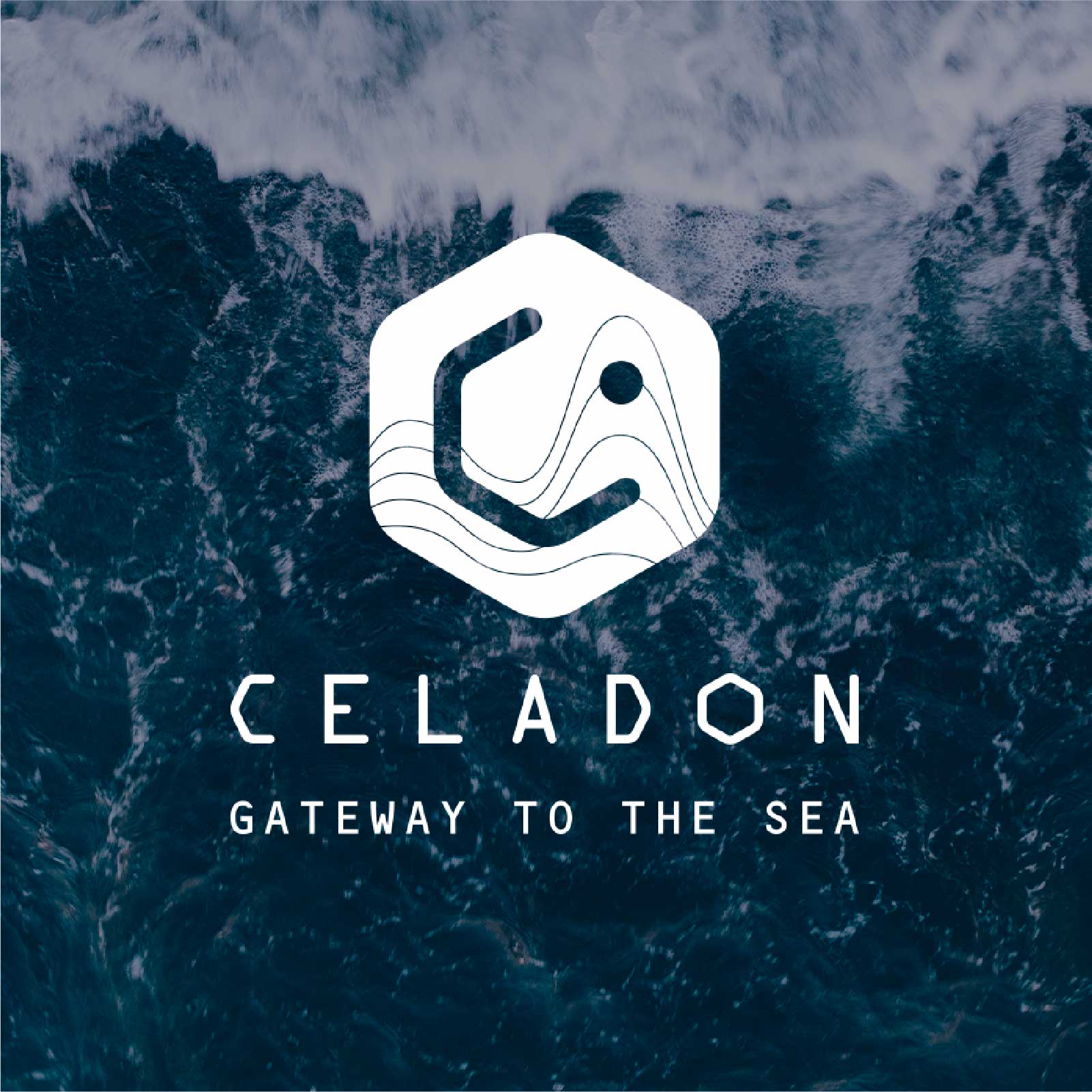 Celadon-image de marque